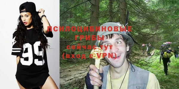 крисы Алексин