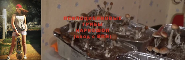 не бодяженный Алзамай
